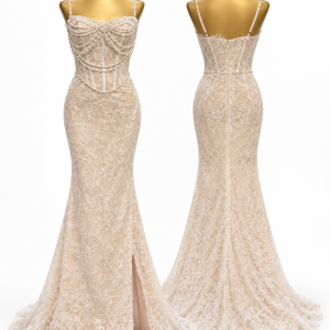 Mozhgan Juliette Blush Lace Gown